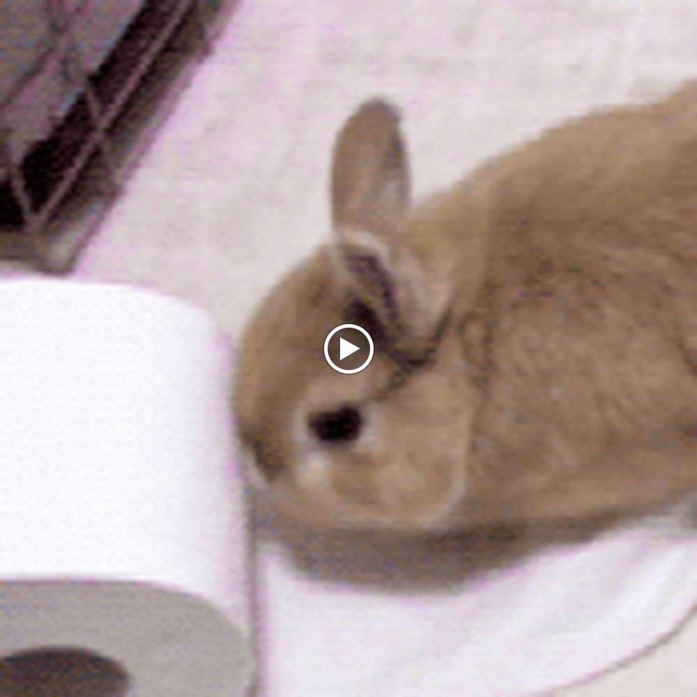 Meet your Posher, Fuzzy